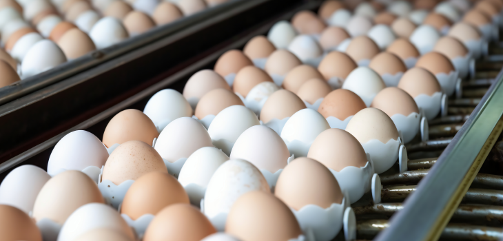 egg-segmentation-in-poultry-industry-based-on-colour